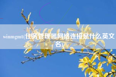 winmgmt(任务管理器网络连接是什么英文名)