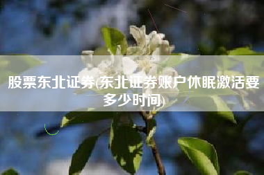 股票东北证券(东北证券账户休眠激活要多少时间)