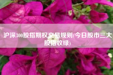 沪深300股指期权交易规则(今日股市三大股指收绿)
