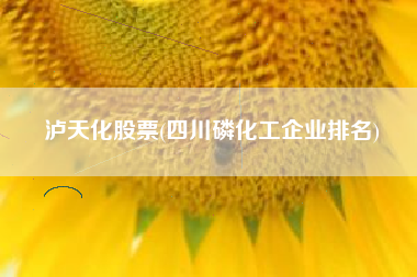 泸天化股票(四川磷化工企业排名)