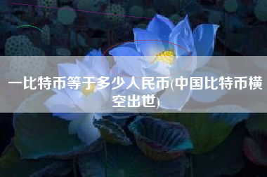 一比特币等于多少人民币(中国比特币横空出世)