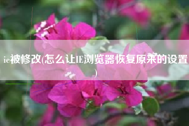 ie被修改(怎么让IE浏览器恢复原来的设置)