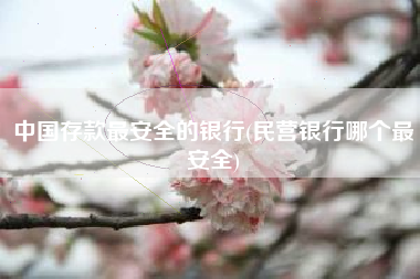 中国存款最安全的银行(民营银行哪个最安全)