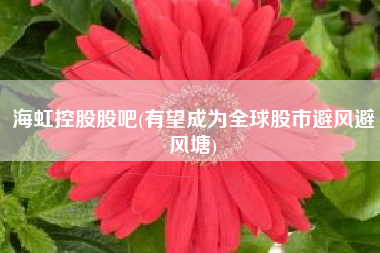 海虹控股股吧(有望成为全球股市避风避风塘)