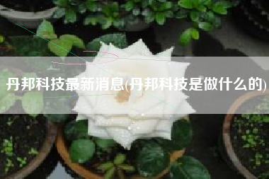 丹邦科技最新消息(丹邦科技是做什么的)