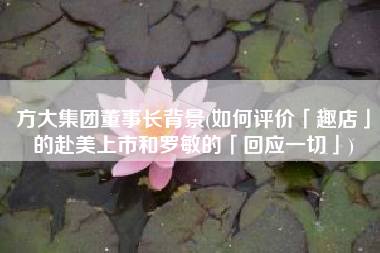 方大集团董事长背景(如何评价「趣店」的赴美上市和罗敏的「回应一切」)