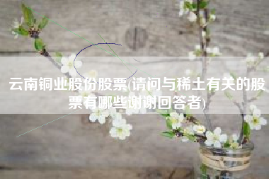 云南铜业股份股票(请问与稀土有关的股票有哪些谢谢回答者)