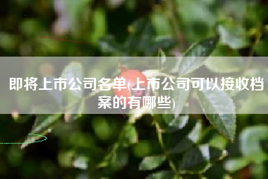 即将上市公司名单(上市公司可以接收档案的有哪些)