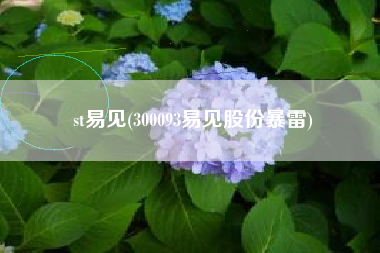 st易见(300093易见股份暴雷)