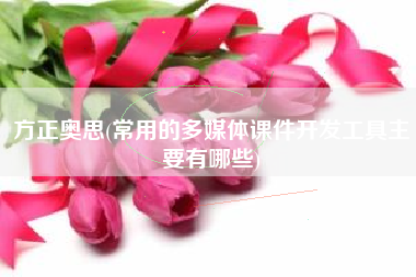 方正奥思(常用的多媒体课件开发工具主要有哪些)