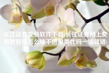 长江证券交易软件下载(长江证券网上交易财智板怎么输不进股票代码一输就错)