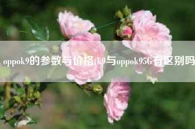 oppok9的参数与价格(k9与oppok95G有区别吗)