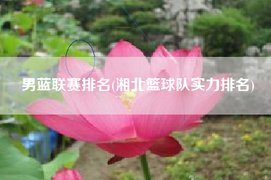 男蓝联赛排名(湘北篮球队实力排名)