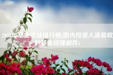 2022年基金收益排行榜(国内投资人凌晨收到基金经理邮件)