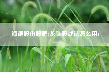 详细阅读:海德股份股吧(龙头股战法怎么用) 海德股份股吧(龙头股战法怎么用)
