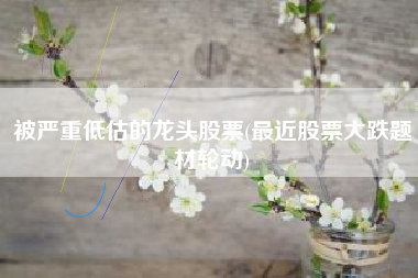 被严重低估的龙头股票(最近股票大跌题材轮动)
