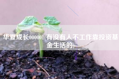 华夏成长000001(有没有人不工作靠投资基金生活的)