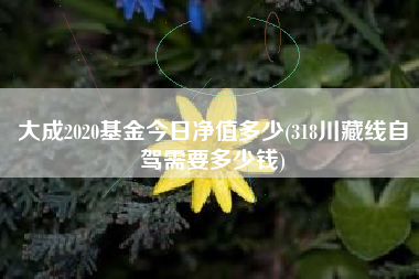 大成2020基金今日净值多少(318川藏线自驾需要多少钱)