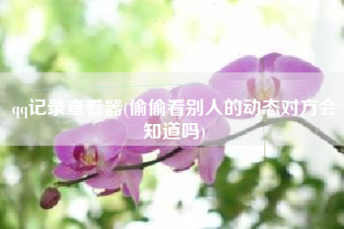 qq记录查看器(偷偷看别人的动态对方会知道吗)