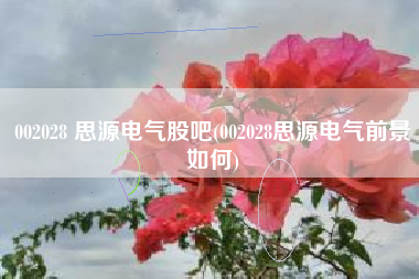 002028 思源电气股吧(002028思源电气前景如何)