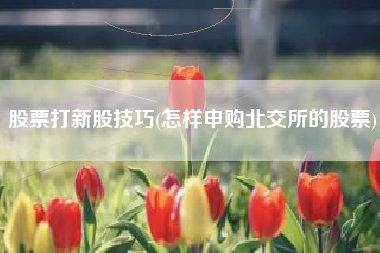 股票打新股技巧(怎样申购北交所的股票)