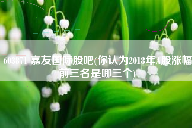 603871 嘉友国际股吧(你认为2018年A股涨幅前三名是哪三个)