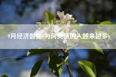 9月经济数据(为何负债的人越来越多)