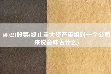600221股票(终止重大资产重组对一个公司来说意味着什么)