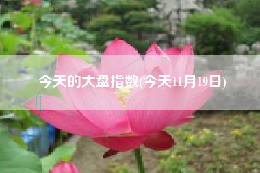 今天的大盘指数(今天11月19日)