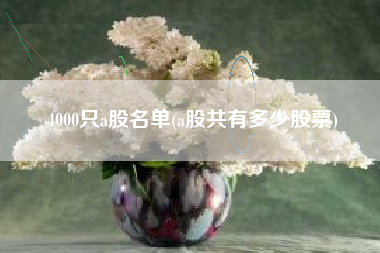 4000只a股名单(a股共有多少股票)