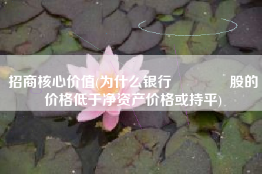 招商核心价值(为什么银行🏦股的价格低于净资产价格或持平)