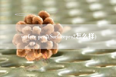 surface pro2(Surfacepro2怎么样)