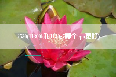 i530(11300h和1130g7哪个cpu更好)