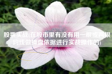 股票实战(在股市里有没有用一根或两根均线做操盘依据进行实战操作的)