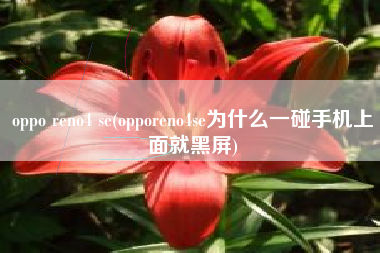 oppo reno4 se(opporeno4se为什么一碰手机上面就黑屏)