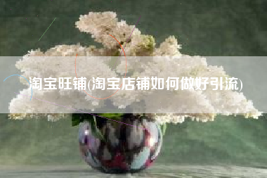 淘宝旺铺(淘宝店铺如何做好引流)