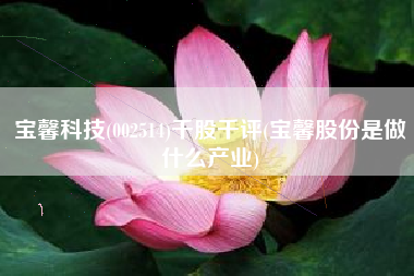 宝馨科技(002514)千股千评(宝馨股份是做什么产业)