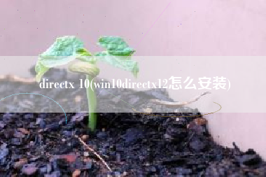directx 10(win10directx12怎么安装)