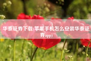 华泰证券下载(苹果手机怎么安装华泰证券app)