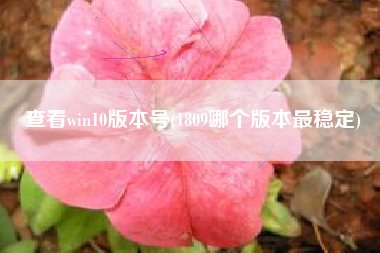 查看win10版本号(1809哪个版本最稳定)