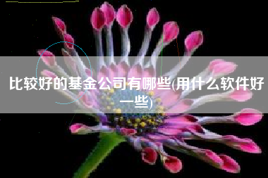 比较好的基金公司有哪些(用什么软件好一些)