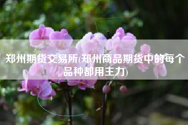 郑州期货交易所(郑州商品期货中的每个品种都用主力)
