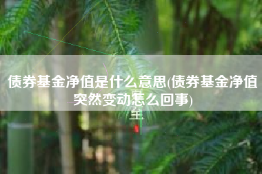 债券基金净值是什么意思(债券基金净值突然变动怎么回事)