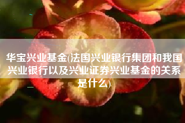 华宝兴业基金(法国兴业银行集团和我国兴业银行以及兴业证券兴业基金的关系是什么)
