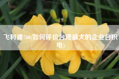 飞利浦760(如何评价台湾最大的企业台积电)