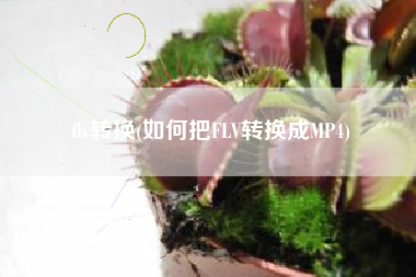 flv转换(如何把FLV转换成MP4)