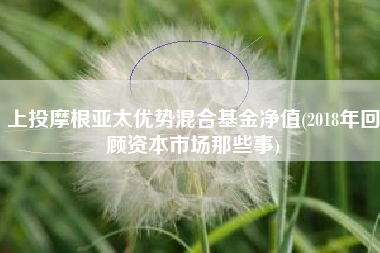 上投摩根亚太优势混合基金净值(2018年回顾资本市场那些事)