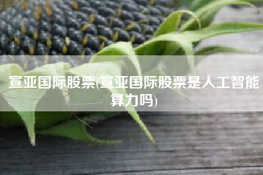 宣亚国际股票(宣亚国际股票是人工智能算力吗)