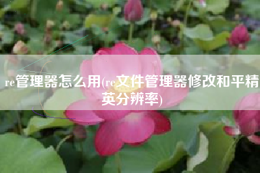 re管理器怎么用(re文件管理器修改和平精英分辨率)