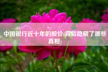 中国银行近十年的股价(背后隐藏了哪些真相)